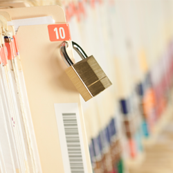 Confidential and Privileged Therapy