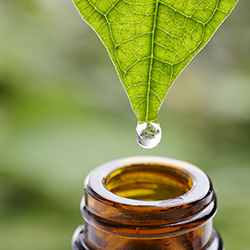 Using dōTERRA<sup>®</sup> essential oils