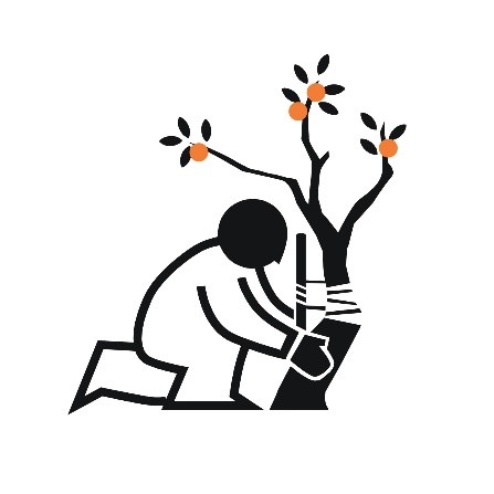 Man with tree
