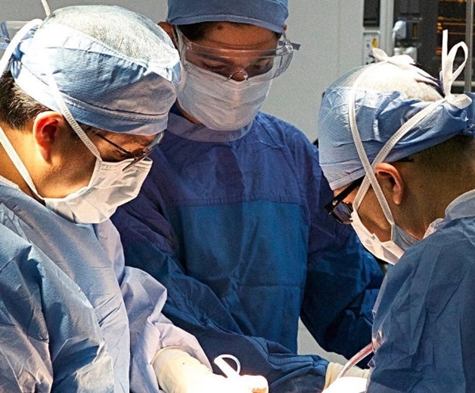 Mark Greene Surgery