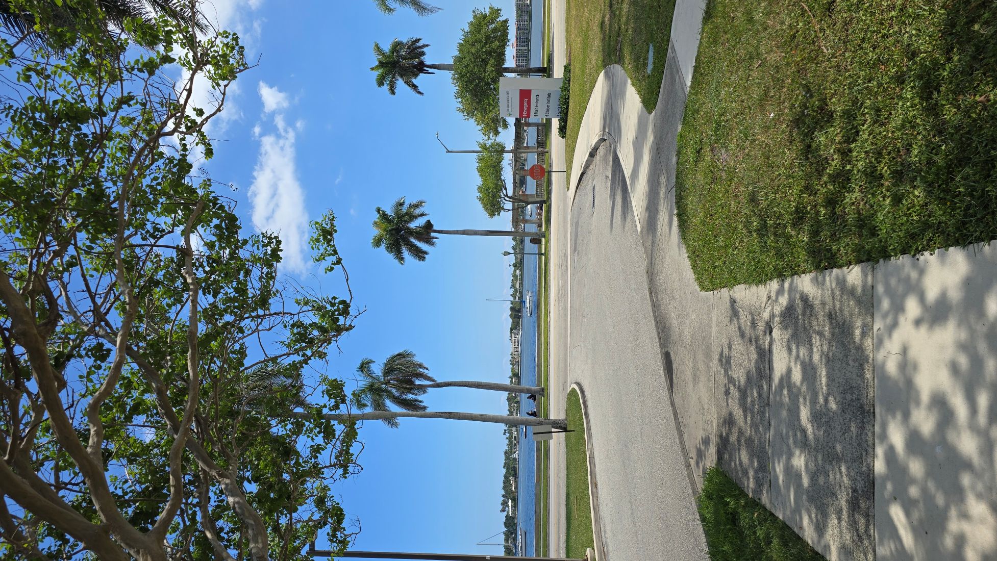 The entryway and paved walkway