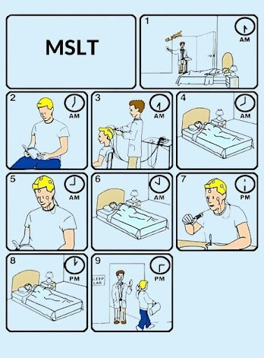 mslt