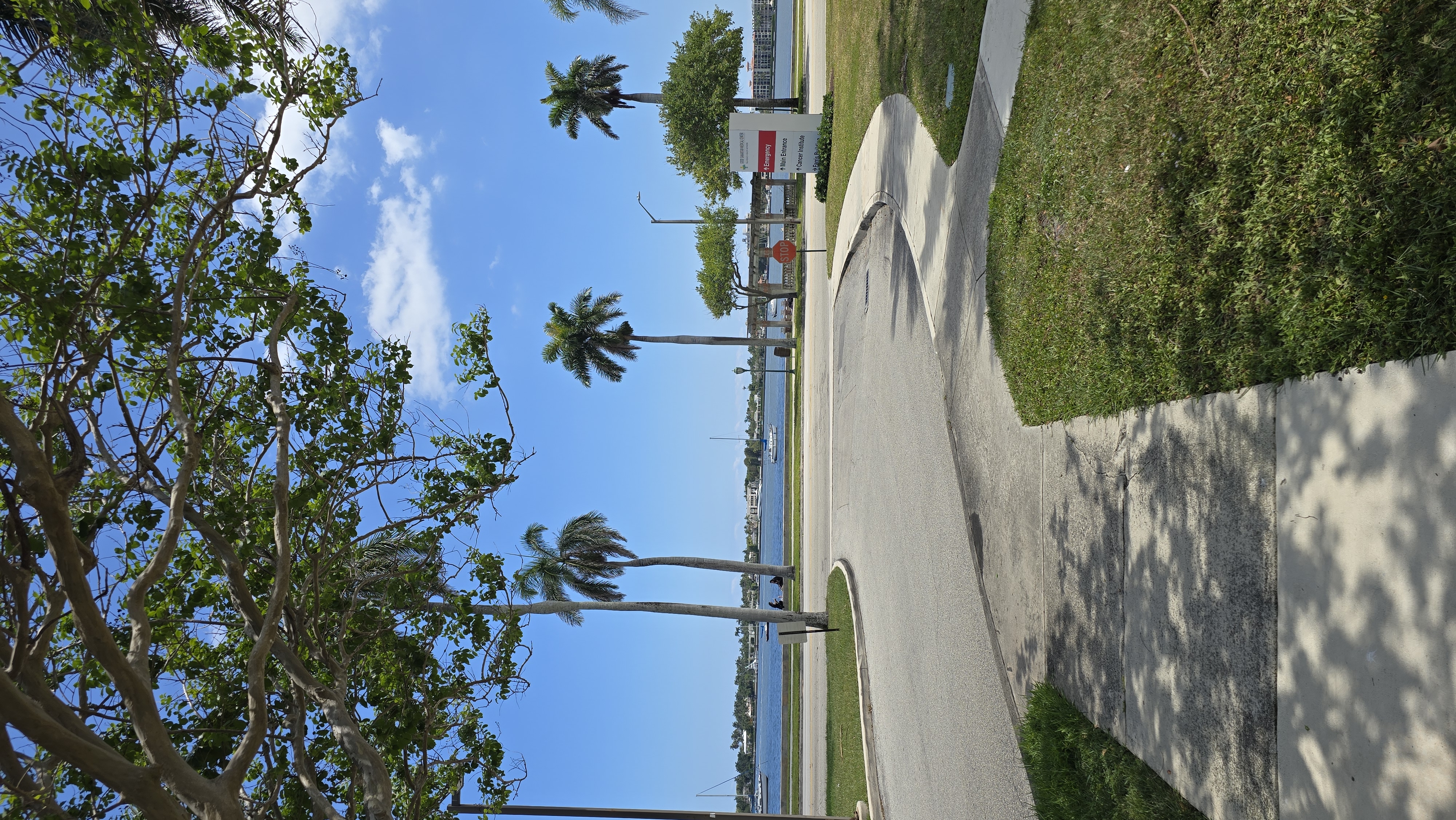The entryway and paved walkway