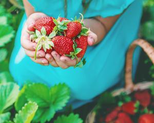 Perfumes & Scented Lotions
