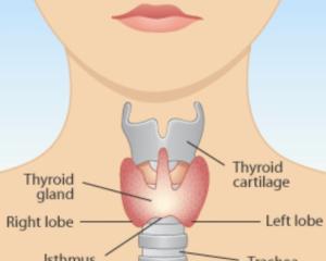 got thyroid