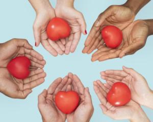 Hands Cupping Heart
