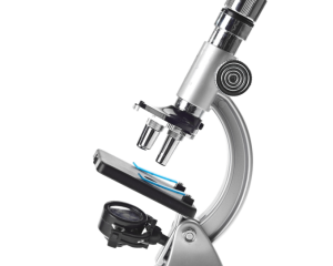In-House Laboratory Testing