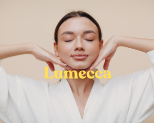 Lumecca services graphic