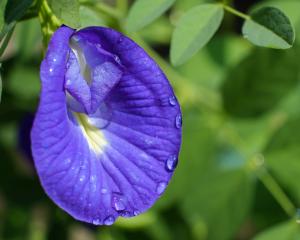 Urinary Incontinence FAQs