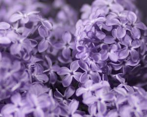 Treatment Options for POP