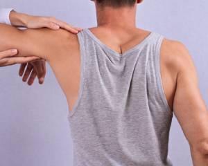Shoulder Rotator