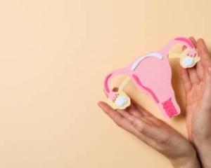 Endometriosis Surgery1