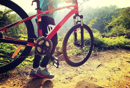 Healthy Steps Home Banner