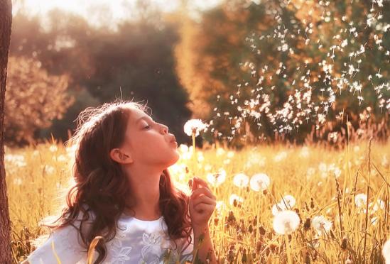 Germantown Allergy and Asthma