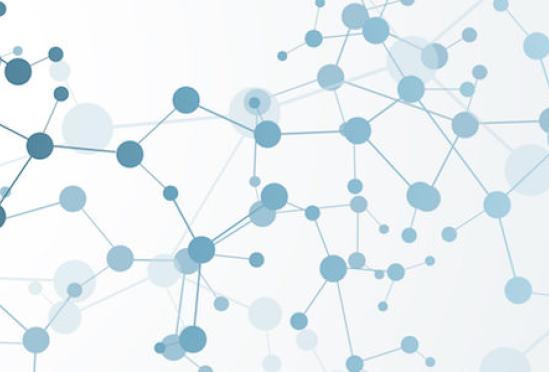 Alexandria Adult Primary Care