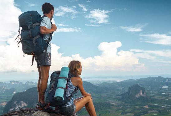 The Endocrinology Group