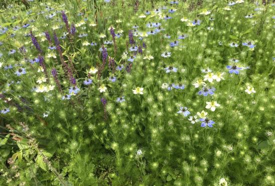 A. Larry Miller MD Ltd