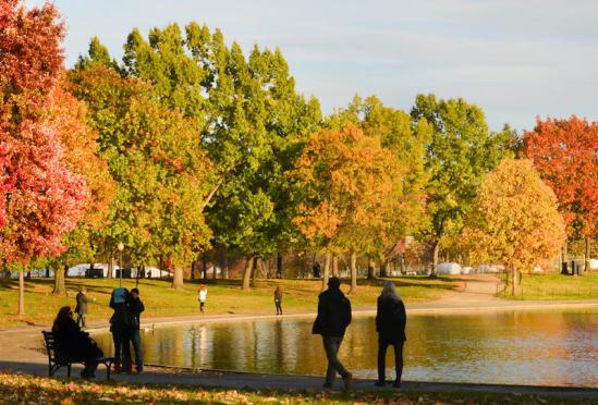 Mahmoud H. Mustafa, MD FACP