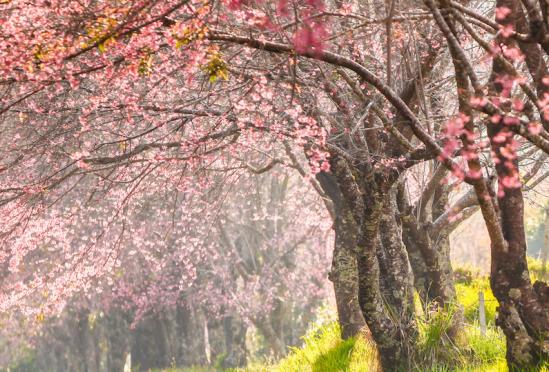 Potomac Internal Medicine