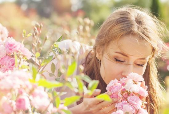 Virginia Ear Nose and Throat