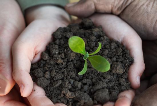 Waldorf Primary Care