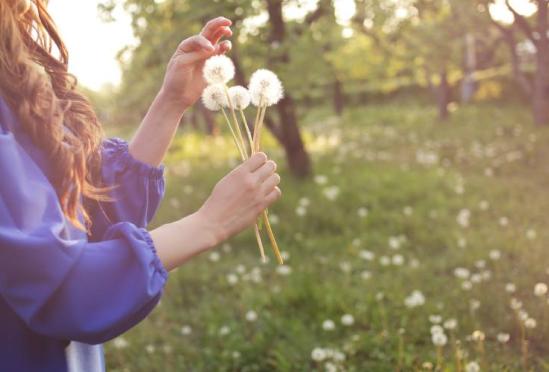 Potomac Allergy & Asthma