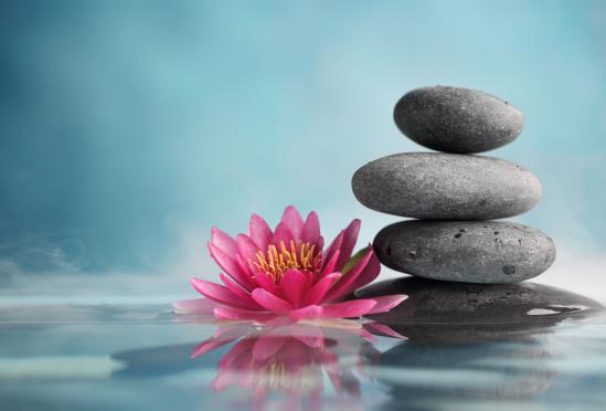 Gulf Gate Family Medicine