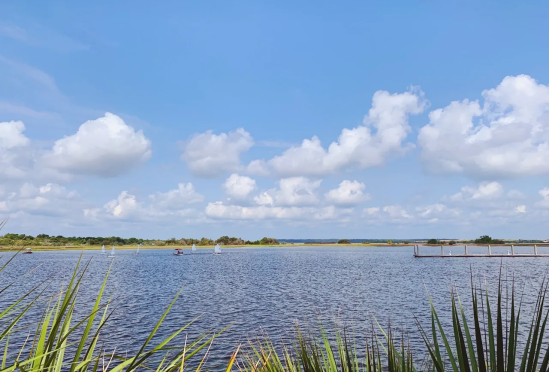 David S. Deuser M.D. & Associates