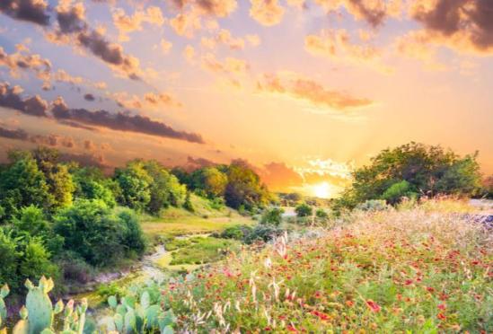 Rhome Family Practice Clinic