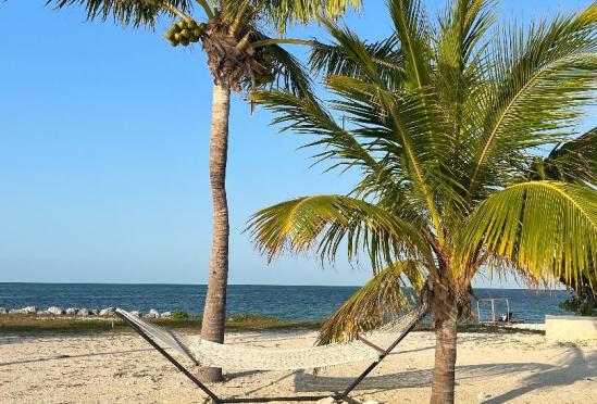 Oceanview Internal Medicine