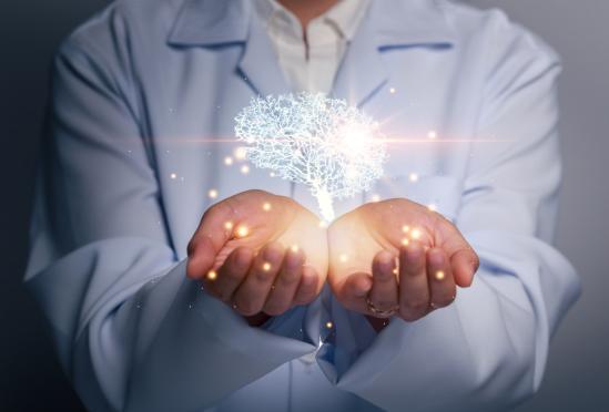 Tampa Bay Neurology Inc.