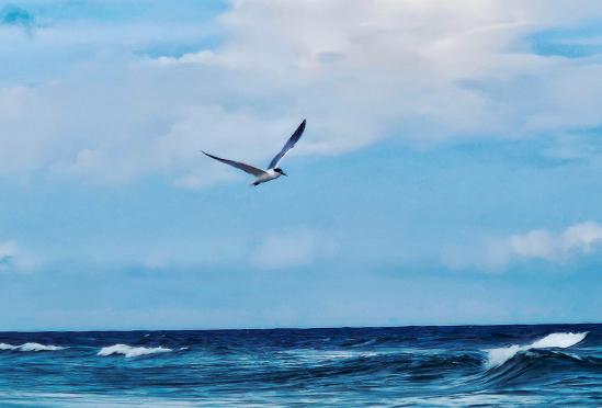 A seagull flying over ocean waves