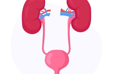Bladder_1