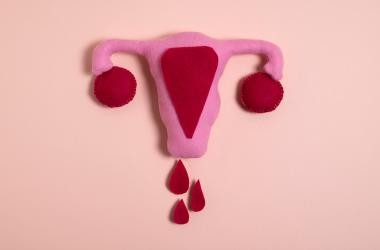 Reproductive system blood drops