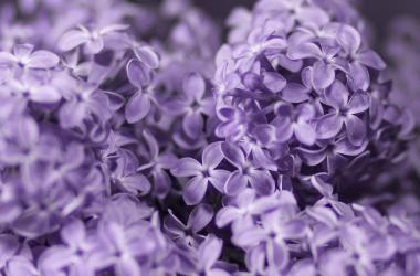 Treatment Options for POP