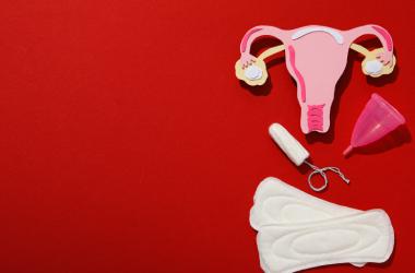 means of feminine hygiene during menstruation