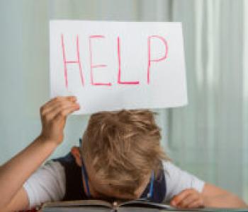 Developmental/Behavioral Concerns