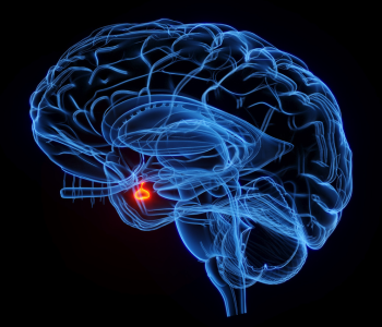 Pituitary Disease