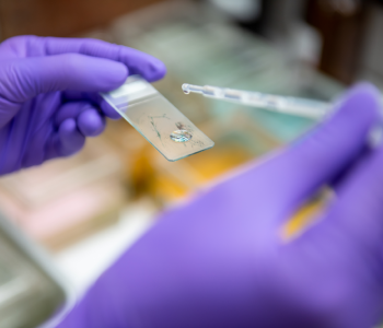 Genetic testing