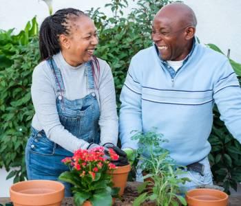 Adult Primary care
