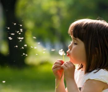 A child blowing on a dandelion